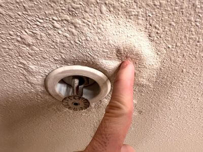 About Ames IA Mold Remediation Pros - mold remediation experts in Ames