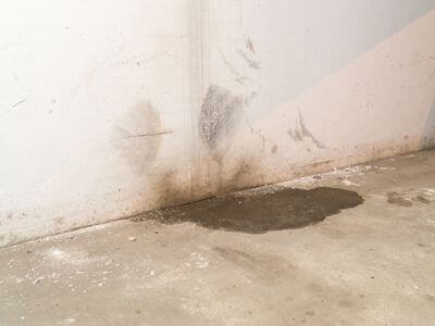 Professional mold remediation services in Ames
